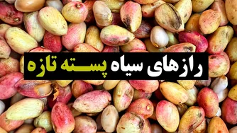 رازهای پسته تازه و طعمی فوق‌العاده