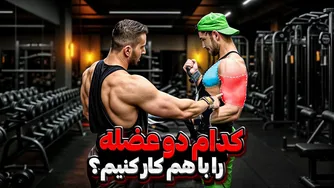 کدام دو عضله را با هم تمرین کنیم؟