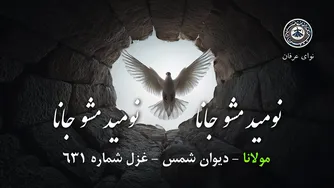 آهنگ نومید مشو جانا | غزل شماره 631 مولانا در قالب موسیقی