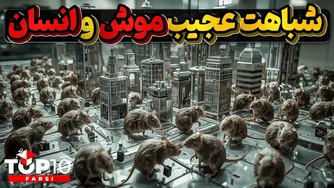 یونیورس 25: انقراض موش‌های یک شهر ایده‌آل