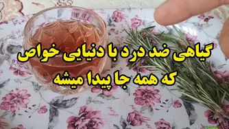 اسرار گیاه دارویی قدرتمند: از تقویت حافظه تا جوان‌سازی