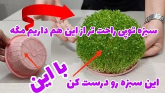 ساخت سبزه توپی زیبا برای عید و سفره هفت سین