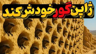 30 قاتل مار ژاپنی در جزیره؛ 30 سال بعد همه شوکه شدند!