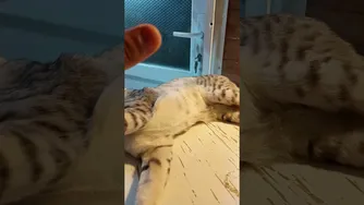 پیام صمیمی 😁