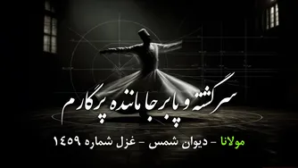تا عاشق آن یارم، بی‌کار و در کارم | غزل شماره 1459 مولانا