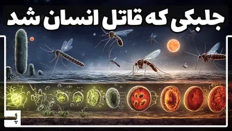 تاریخچه تکامل مالاریا: انگل مرگباری که همیشه با انسان در جنگ است