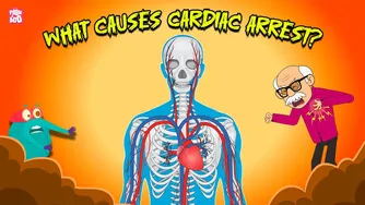 مشکلات سیستم برقی قلب 🫀 چه چیزی باعث ایست قلبی می‌شود؟ | شرایط قلبی