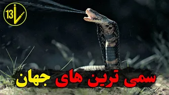 ۱۰ موجود سمی که هرگز نباید با آن‌ها روبرو شوید!