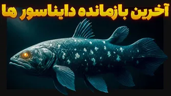 سیلکنت‌ها؛ موجوداتی قدیمی‌تر از دایناسورها که هنوز زنده‌اند!