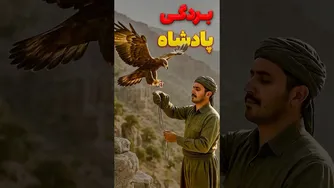 چگونه یک عقاب به برده‌ای بدل شد؟