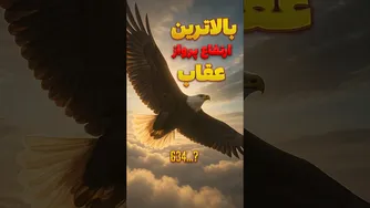 پرندگانی که به ارتفاعات بلند پرواز می‌کنند