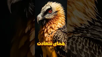 چرا هما نماد اقتدار و فرهنگ ایرانیان است؟