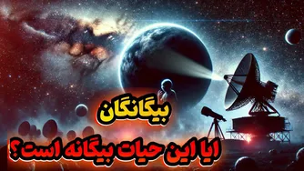 پروکسیما b: آیا این سیاره حیات فرازمینی را در خود دارد؟ نورهای مصنوعی کشف شده توسط تلسکوپ جیمز وب!