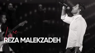 ویدیو به یاد ماندنی رضا ملک‌زاده | اجراهای جذاب و نوستالژیک 🎤