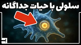 کشف سلولی که در برخی گونه‌ها به دام افتاده و ممکن است راز حیات زمین را بازسازی کند