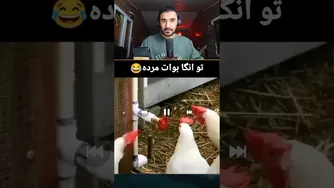 چالش نخند با صداگذاری خنده‌دار حیوانات 😄