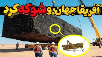 آفریقا، میلیاردها ملخ را در بیابان کاشت؛ زندگی میلیون‌ها نفر دگرگون شد!