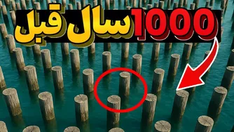 چگونه هزار سال پیش میلیون‌ها درخت را به دریا انداختند و دنیا را شگفت‌زده کردند؟