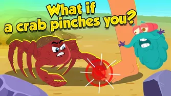 اگر یک خرچنگ شما را نیش بزند چه اتفاقی می‌افتد؟ 🦀 قدرت نیش خرچنگ‌ها چقدر است؟ | چگونه زنده بمانیم