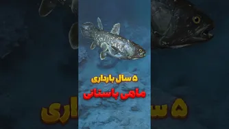ماهی‌ای که ۴۰۰ میلیون سال است تغییر نکرده!