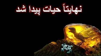 نشانه‌های حیات باستانی در مریخ! آیا این سنگ، تنهایی انسان را به پایان می‌رساند؟