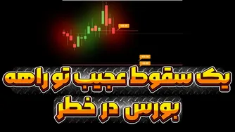 آغاز بازار خرسی در بورس آمریکا