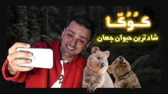 چرا کوکای سبک‌ترین حیوان دنیا تلخ‌ترین زندگی را دارد؟