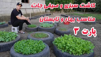 راهنمای  کامل کاشت و داشت سبزیجات و صیفی‌جات ارگانیک در فصل بهار و تابستان برای خانه و بحران