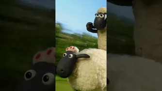 🐑🧠 گوسفندی با نقشه!🐑🐑🐑 شاون، گوسفند باهوش