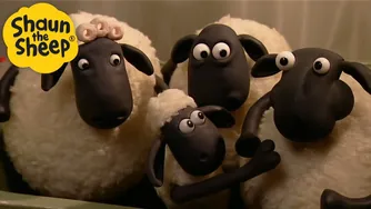 احساسات بد 🐑 شاون گوسفند 🐑 - کارتون‌های آموزشی برای کودکان 🐑 مجموعه کامل قسمت‌ها