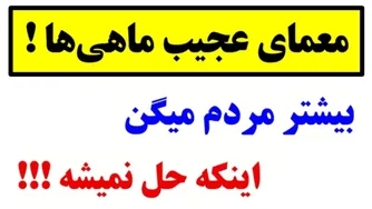 این راه حل عجیب شما را شگفت‌زده می‌کند🤯