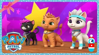 پاو پاترول — دوستی شگفت‌انگیزِ گربه و موش | WildBrain Zoo