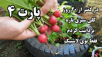 راهنمای کامل کاشت سبزی و صیفی‌جات بهاره و تابستانه در 20 روز