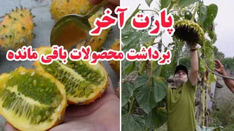 پارت پایانی — کاشت عملی سبزی و صیفی‌جات بهاره و تابستانه (قسمت ۷)