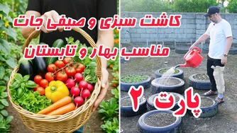 راهنمای کامل کاشت و پرورش سبزی و صیفی‌جات ارگانیک در خانه و باغ برای بهار و تابستان