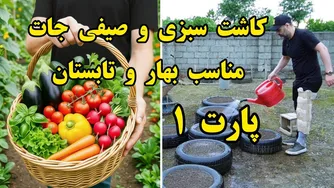 راهنمای کامل کاشت و پرورش سبزی و صیفی‌جات ارگانیک در خانه و باغ برای بهار و تابستان