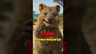 چرا کوئوکا همیشه لبخند می‌زند؟