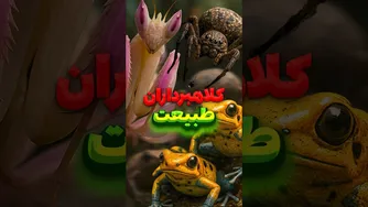 قاتلان پنهان؛ موجوداتی که مثل فرشته‌اند! 😇🕷️