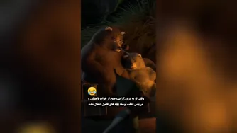 جشن مهمانی شروع شده 😄 #روانشناسی #درونگرا
