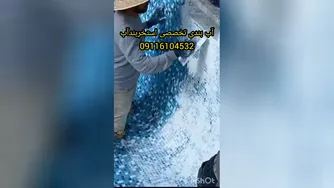 چسب ترکیبی عایق استخر مخصوص استخرکاشی شده 09116104532 ماندگاری6الی8سال در تمام ن