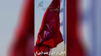 امان از دل زینب س...#