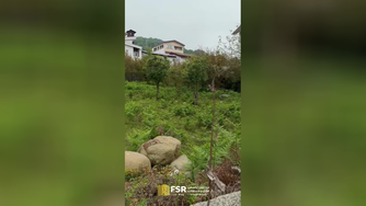خرید زمین داخل بافت نور