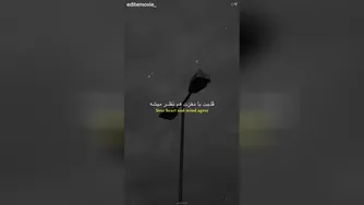مردن
