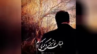 بابک جهانبخش - تو منو کی کشتی | ویدیو متن آهنگ ۲