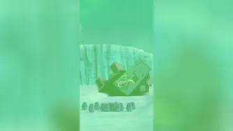 The Attraction Of Lemmings | Grizzy & the lemmings 🐻🐹