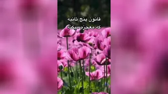 قانون پنج ثانیه که معجزه میکنه