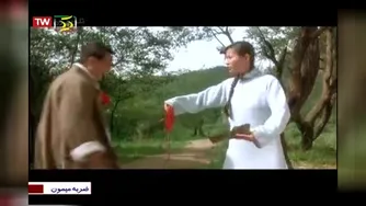 فیلم سینمایی ضربه میمون
