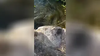 این کلیپ دو میلیون بازدید خورده شما هم ببینید🤩🤩😍😍😍