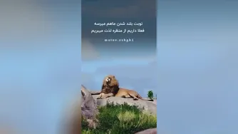 انگیزشی