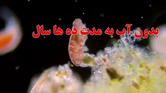 چه سرنوشت‌هایی برای سیاره مشتری رقم می‌خورد؟ تأثیرات آن بر کل منظومه شمسی